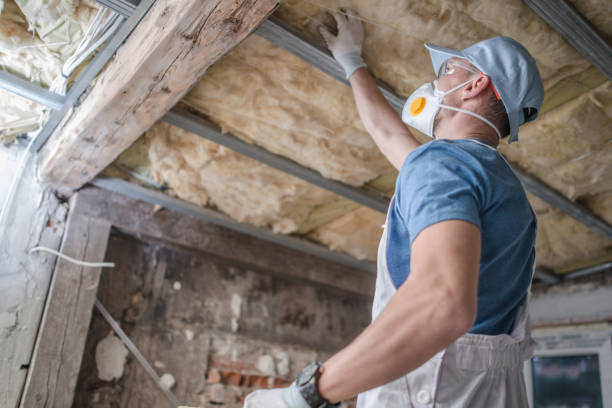 Insulation Replacement Services in Gardere, LA